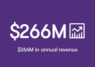 skullcandy-266M-revenue
